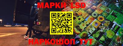 шишки Аргун