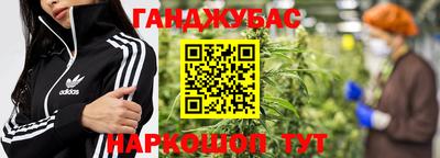 шишки Аргун