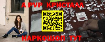 шишки Аргун
