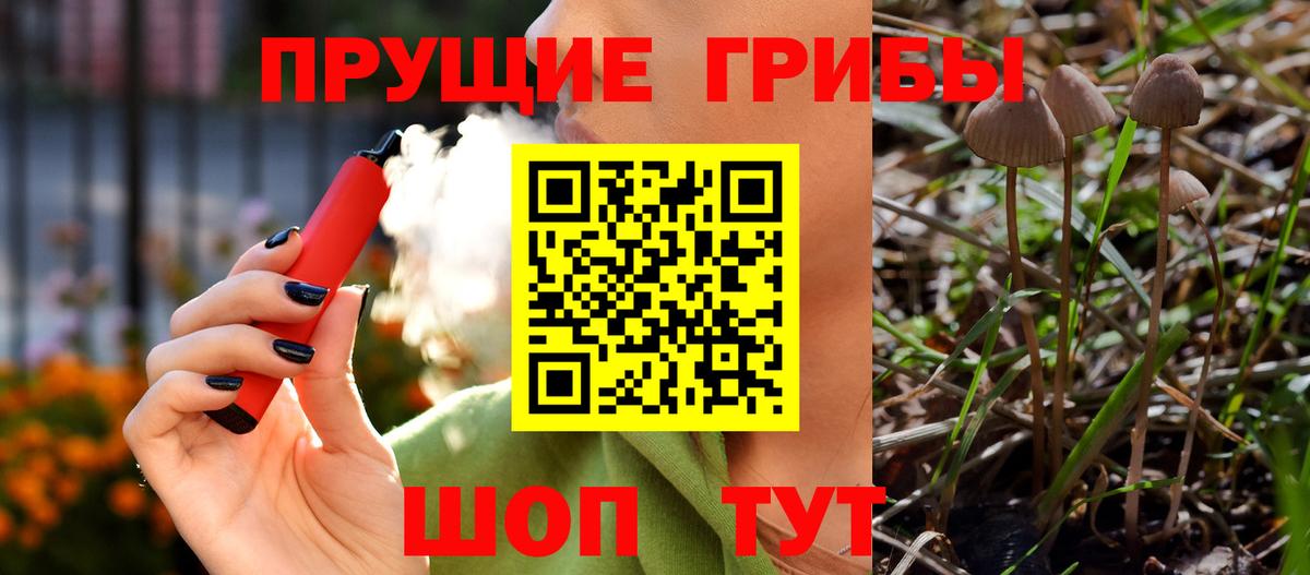 Псилоцибиновые грибы Magic Shrooms Бугуруслан